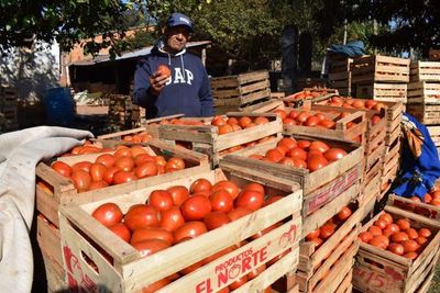 Éxito rotundo en feria de tomates: 12.000 kilos vendidos en un sólo día