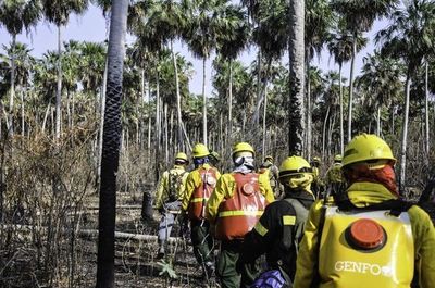 Bomberos reportan nuevos focos de incendio en Pantanal paraguayo