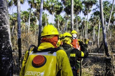 Así combatimos el incendio en el Chaco