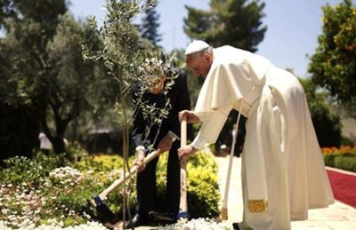 Papa Francisco: Hay una emergencia climática que amenaza seriamente la vida