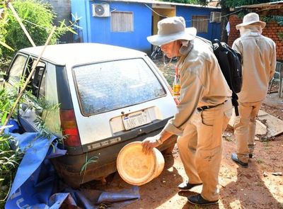 Dengue: 278 casos sospechosos