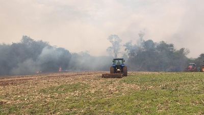 Aproximadamente 30 hectáreas de bosque se quemaron en zona de Naranjal