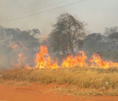 Fuego se torna incontrolable en San Pedro