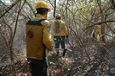 Ejecutivo declara emergencia ambiental en el Chaco