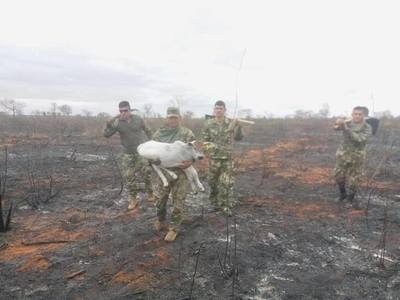 Reportan disminución de focos de incendios en el país