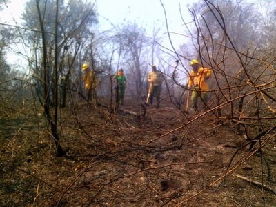 Aprueban donación de US$ 100.000 para enfrentar incendios forestales en el país