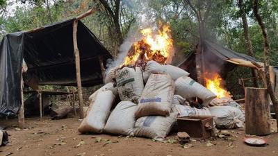 Antidrogas anulan 286 toneladas de marihuana en Amambay