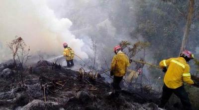 Ecuador también es arrasado por incendios forestales