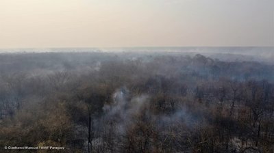 Activan alerta epidemiológica por incendios forestales