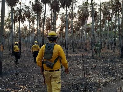 Fiscalía investiga a 15 propietarios de estancias por incendios provocados