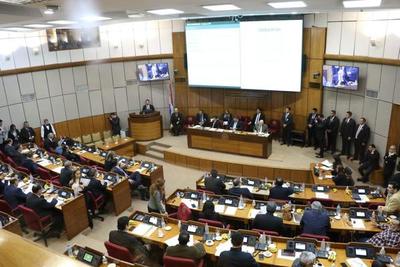 “Ñane Energía”, nuevamente en debate en el Senado