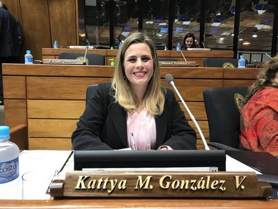 Presentan el libro "Derecho Parlamentario y Técnica Legislativa en Paraguay"