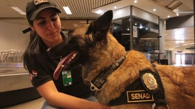 Ala, el can de la Senad, se retira tras nueve años de servicios y será condecorada