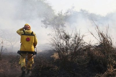Bomberos piden ayuda para combatir el fuego en el Chaco