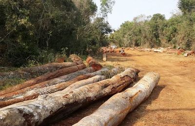 Impune destrucción de una reserva