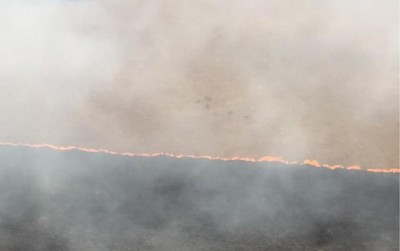 Se incendia uno de los parques nacionales más antiguos de Brasil