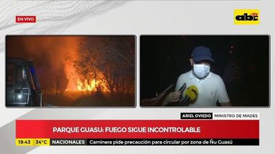 Incendio en el Parque Guasú: Ministro del Mades, Ariel Oviedo