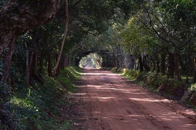 Anuncian lunes con amanecer fresco y tarde calurosa