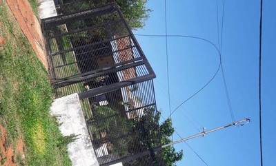 Susto en Costa Sosa por cable suelto de la ANDE •