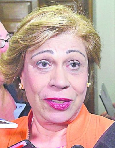 Bareiro solicita que el pleno defina acceso a información