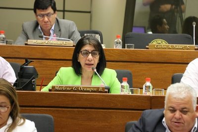 Diputados detectan otra maniobra vía Indert por la que 900 hectáreas habrían despojado a indígenas