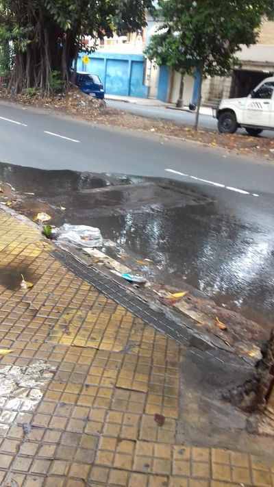Cientos de litros de agua son desperdiciados