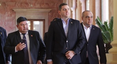Alliana: “Si diputados acusados son culpables perderán su investidura”