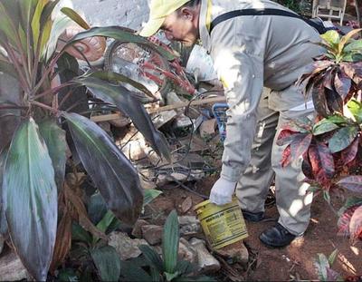 Paraguay en alerta ante aumento de casos de dengue en la región