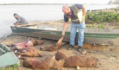Detienen a pescador con carpinchos faenados