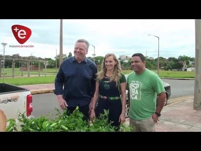 DONAN ARBOLITOS PARA LA FAZENDA
