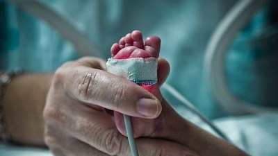 Holanda: El primer útero artificial permitirá "renacer" a los bebés