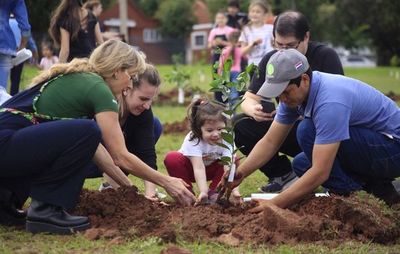 Crean un bosque de azahares