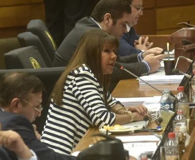 Reforma policial puede volver a tratarse, según diputada