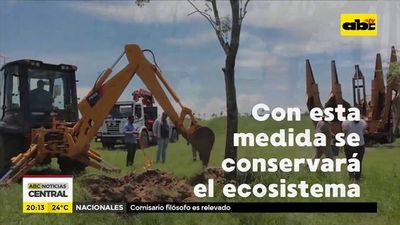 Traslado de árboles del Botánico