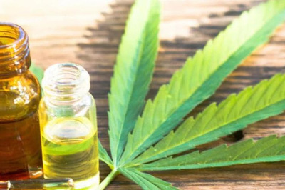 Invitan a una charla sobre el proyecto de legalización del cannabis medicinal