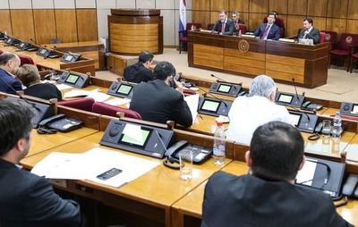 Senado se expide hoy sobre pedido del Ejecutivo para elevar déficit a 3%