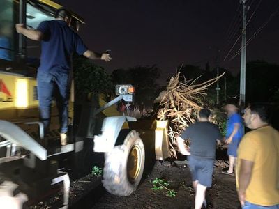 Heridos, árboles caídos, casas destechadas y hasta una pileta volando en Villa Elisa