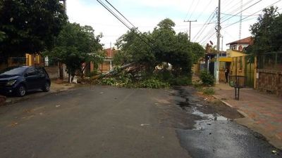 El peor temporal para la ANDE: 70 alimentadores caídos y 140.000 afectados