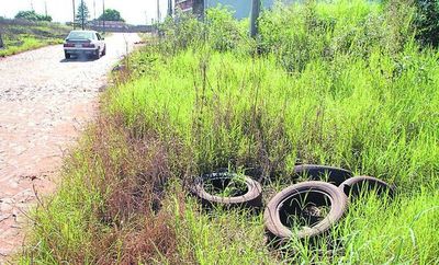 Dengue: urgen medidas ante epidemia grande e inevitable en 2020