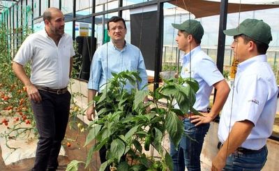 Actualización hortícola en HortiPar 2019