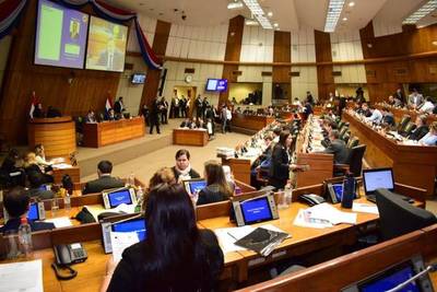 Diputados recorta G. 4.695 millones al Parlasur