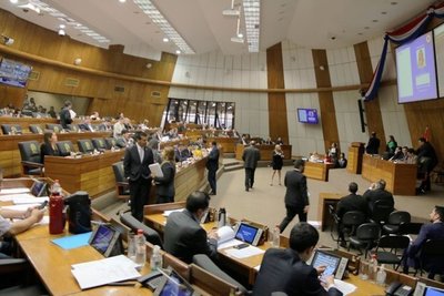 Cámara Baja aprueba incremento salarial para funcionarios de la ANDE