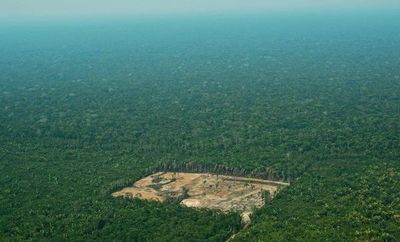 Deforestación en Amazonía brasileña alcanza mayor nivel en más de una década