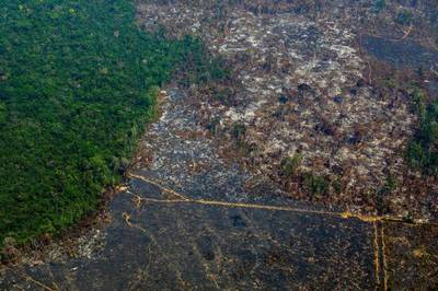 Récord de deforestación en el Amazonas y aumenta la presión sobre Bolsonaro