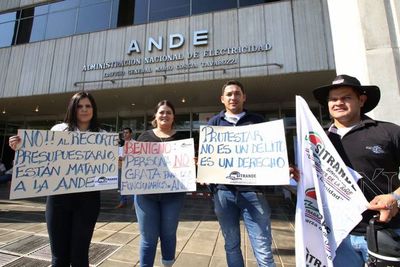 Senado aprueba aumento salarial para funcionarios de la ANDE