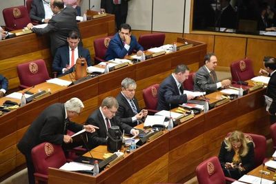 Senado decidirá si declaraciones juradas son públicas