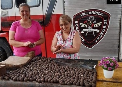 Lanzarán 100.000 bombas de semillas para reforestar el Ybytyruzú