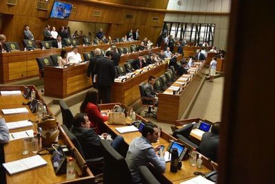 Diputados ratifican G. 47.000 millones más del PGN para tres instituciones