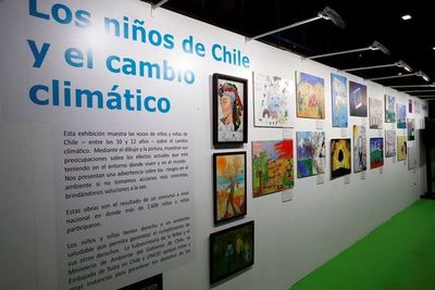 Catalina, María Esperanza, Guillermo: también hay “Gretas” en Latinoamérica
