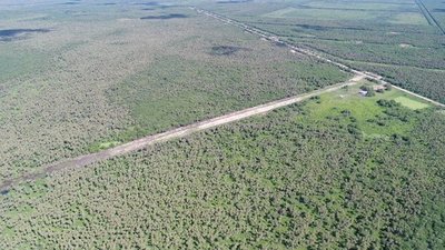 Incautan 300 kilos de cocaína y detienen a dos presuntos narcos, en Presidente Hayes